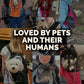 The Voyager - Dog Backpack Carrier - For Small/Medium Pets