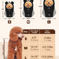 The Voyager - Dog/Cat Backpack Carrier - For Small/Medium Pets