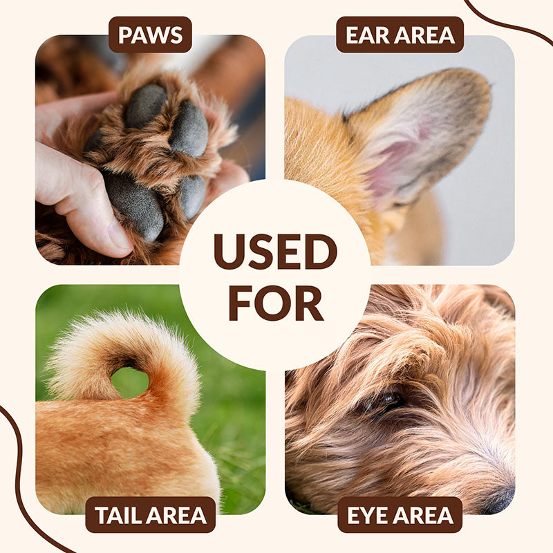 Silent Pet Paw Hair Trimmer